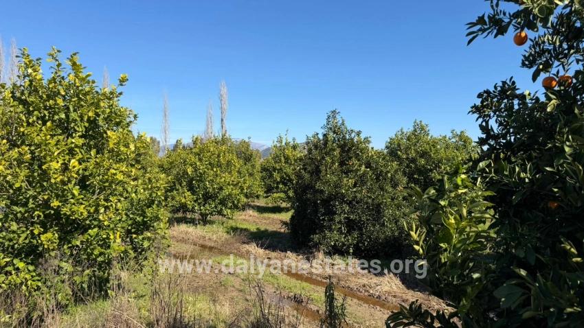 2.218m2 Land For Sale In Okçular Marmarlı