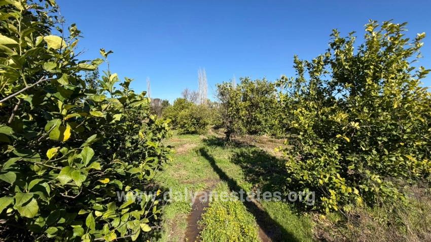 2.218m2 Land For Sale In Okçular Marmarlı