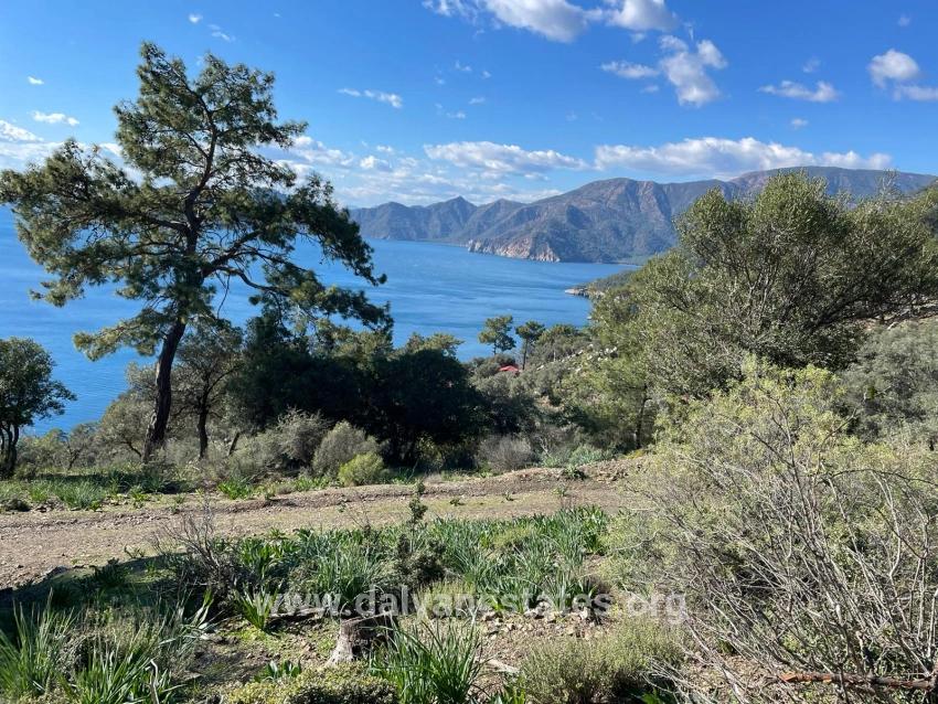 Çandır 20.000m2 2b For Sale With Full Sea View