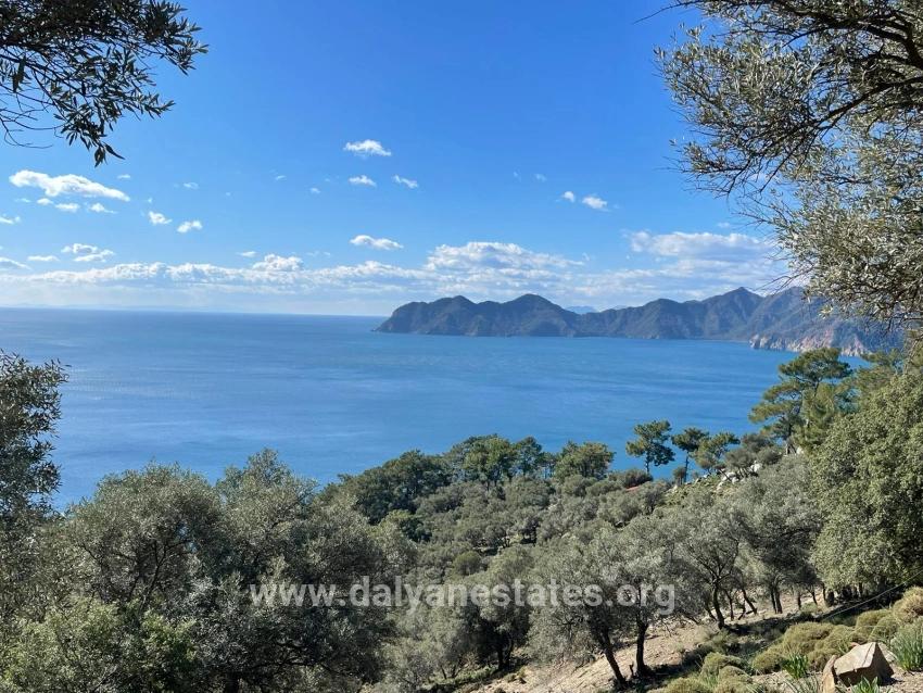 Çandır 20.000m2 2b For Sale With Full Sea View