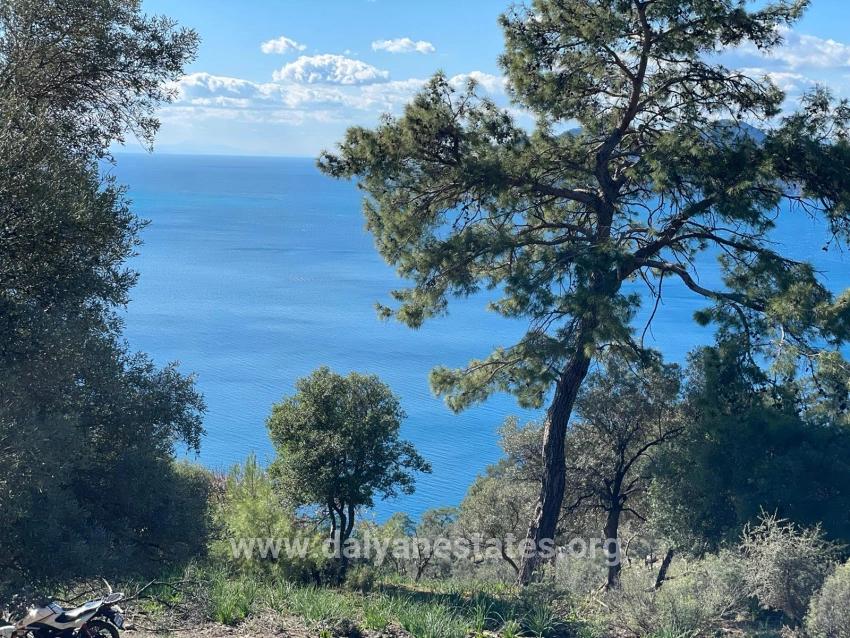 Çandır 20.000m2 2b For Sale With Full Sea View