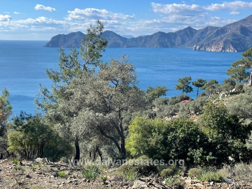 Çandır 20.000m2 2b For Sale With Full Sea View