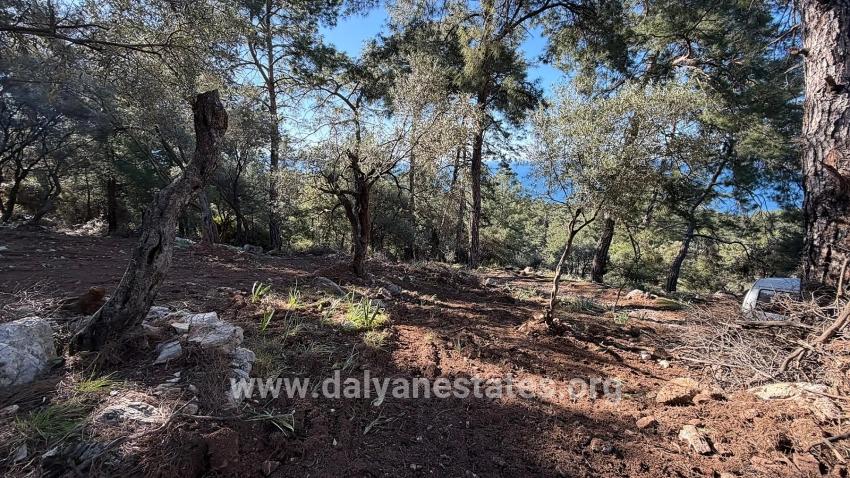 2b Field Of 5715m2 For Sale With Full Sea View In Çandır