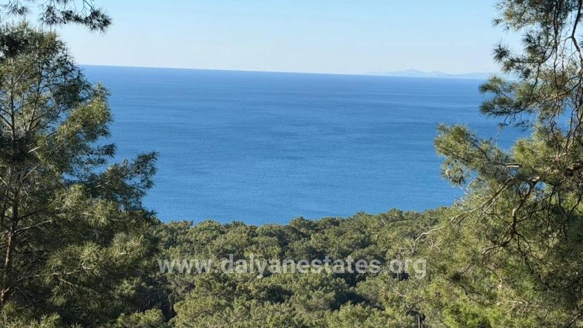 2b Field Of 5715m2 For Sale With Full Sea View In Çandır