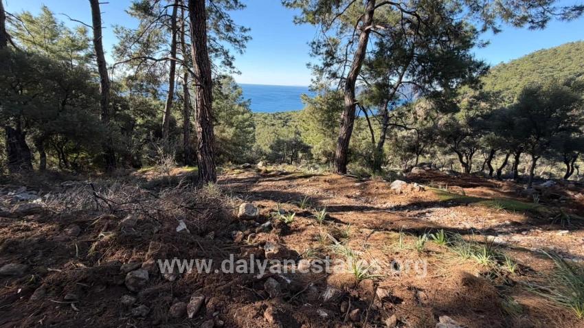 2b Field Of 5715m2 For Sale With Full Sea View In Çandır