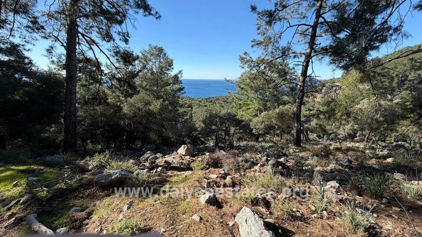 2b Field Of 5715m2 For Sale With Full Sea View In Çandır