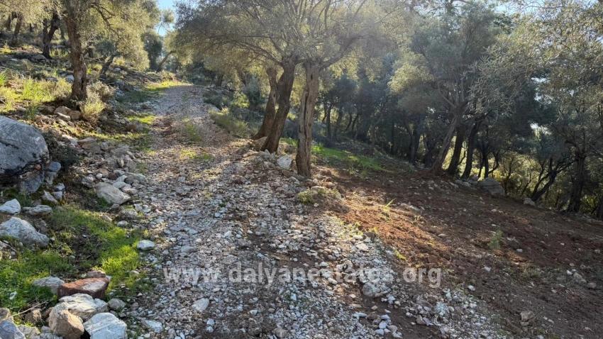 2b Field Of 5715m2 For Sale With Full Sea View In Çandır