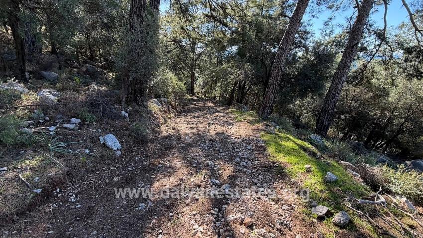 Field For sale in Çandır Nbh. Köyceğiz - Housing Zoned - 5.715 m²