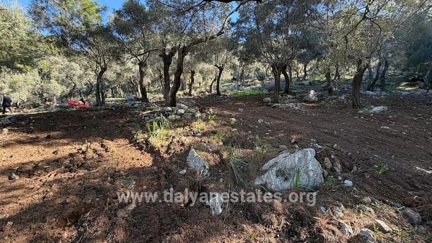 2b Field Of 5715m2 For Sale With Full Sea View In Çandır