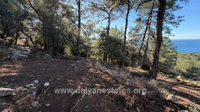 2b Field Of 5715m2 For Sale With Full Sea View In Çandır