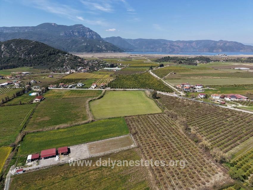 17.550m2 Vineyard-bahce For Sale Close To Dalyan Center