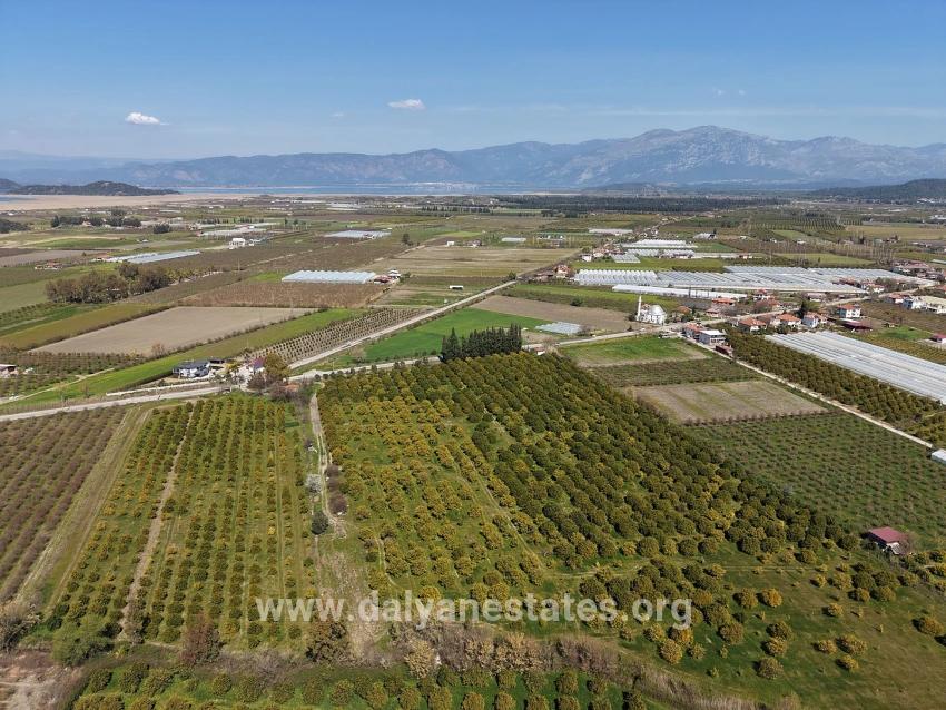 17.550m2 Vineyard-bahce For Sale Close To Dalyan Center