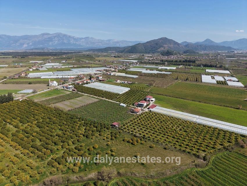 17.550m2 Vineyard-bahce For Sale Close To Dalyan Center