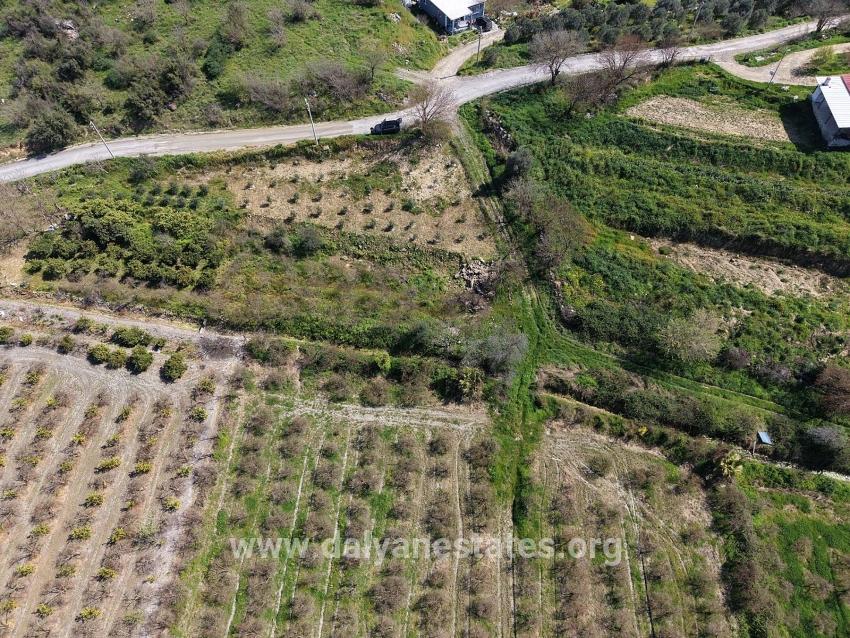 16.710m2 Pomegranate Garden For Sale With Lake View In Eskiköy