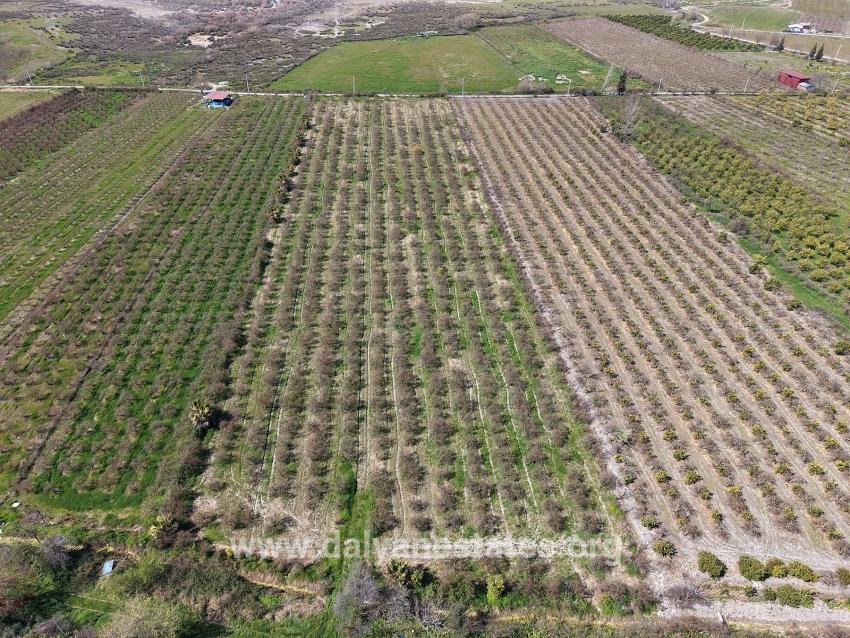 16.710m2 Pomegranate Garden For Sale With Lake View In Eskiköy