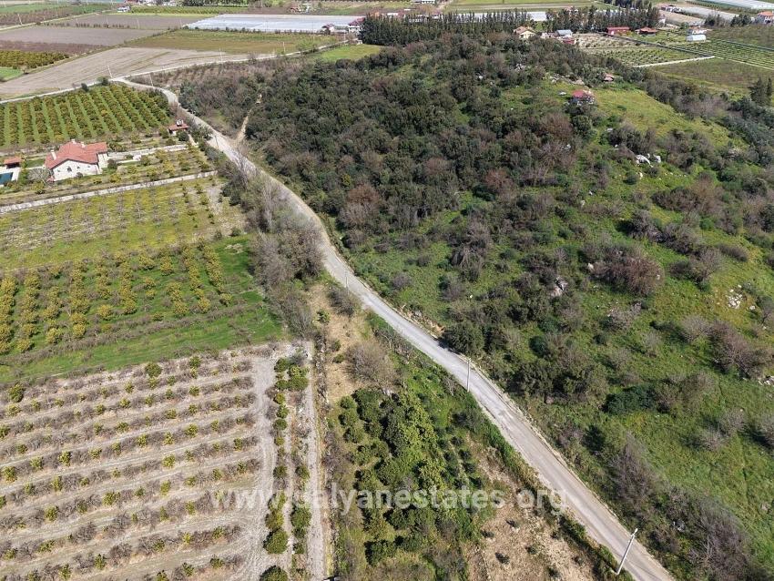 16.710m2 Pomegranate Garden For Sale With Lake View In Eskiköy