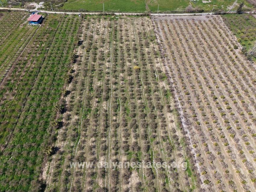 16.710m2 Pomegranate Garden For Sale With Lake View In Eskiköy