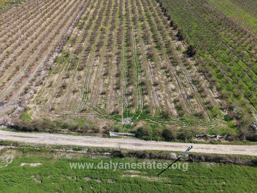 16.710m2 Pomegranate Garden For Sale With Lake View In Eskiköy