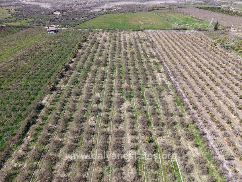 16.710m2 Pomegranate Garden For Sale With Lake View In Eskiköy