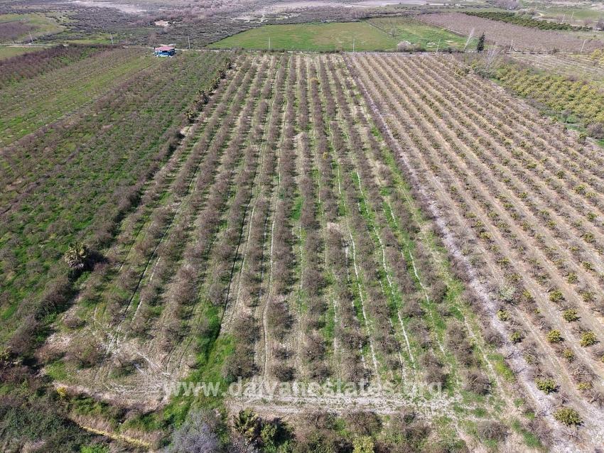 16.710m2 Pomegranate Garden For Sale With Lake View In Eskiköy