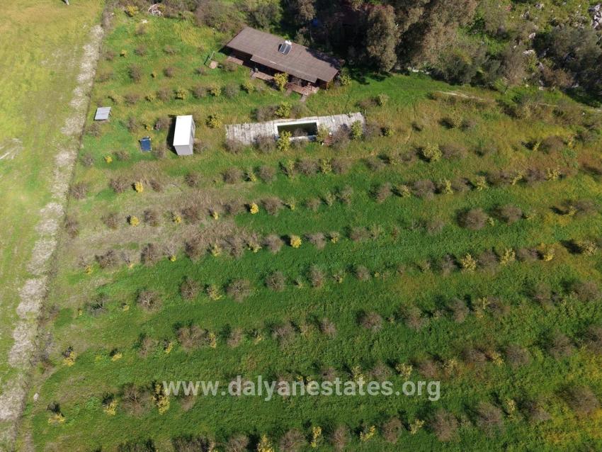 Tourism-oriented Business For Sale On An 11,000 M2 Plot Of Land In Eskiköy.