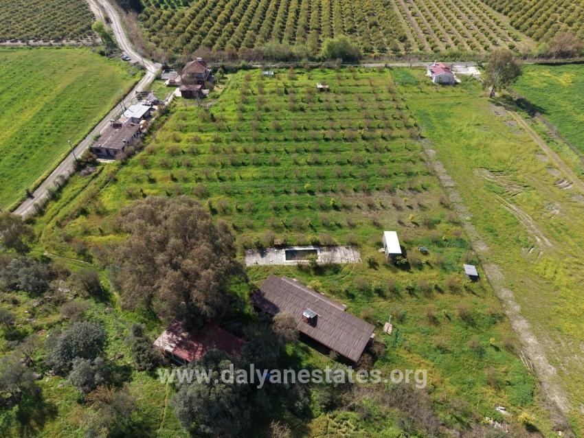 Tourism-oriented Business For Sale On An 11,000 M2 Plot Of Land In Eskiköy.
