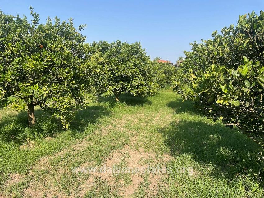 722m2 Land For Sale In Dalyan Gülpınar