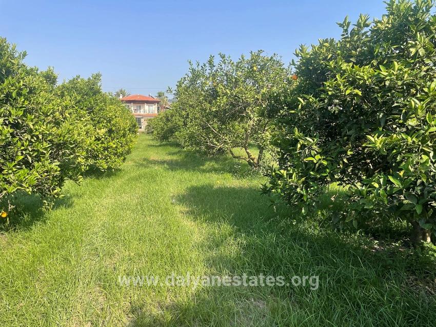 722m2 Land For Sale In Dalyan Gülpınar