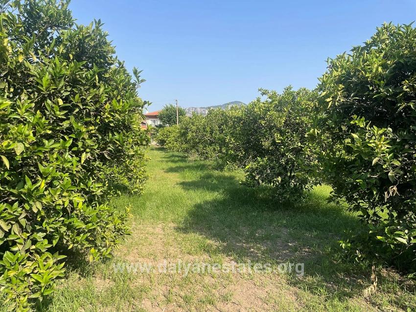 722m2 Land For Sale In Dalyan Gülpınar