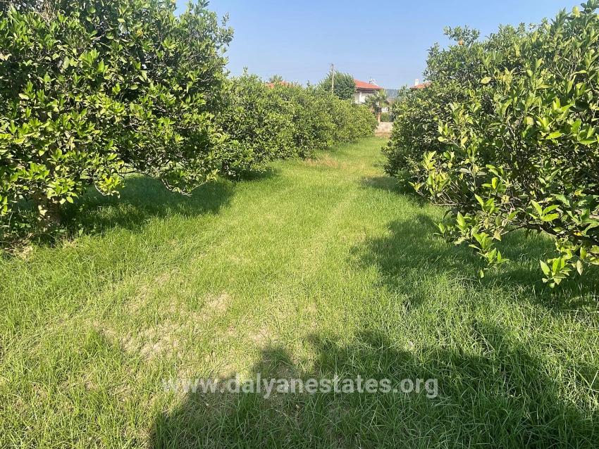 722m2 Land For Sale In Dalyan Gülpınar