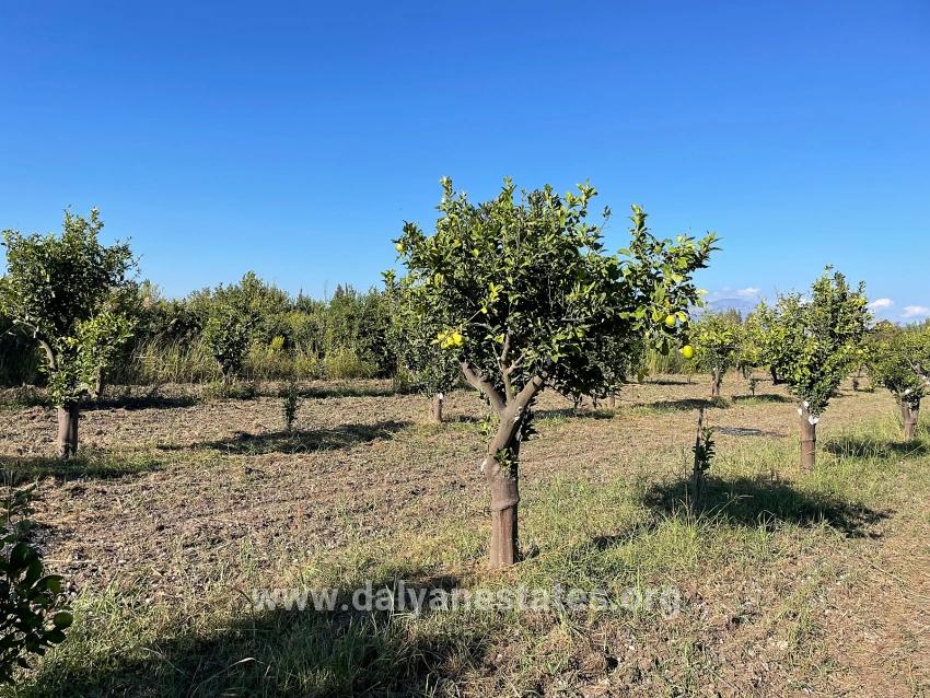6600m2 Plot Of Land For Sale Near The Center Of Dalyan.
