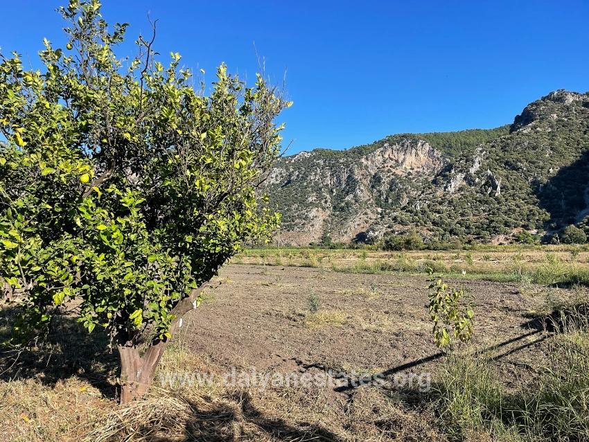 6600m2 Plot Of Land For Sale Near The Center Of Dalyan.