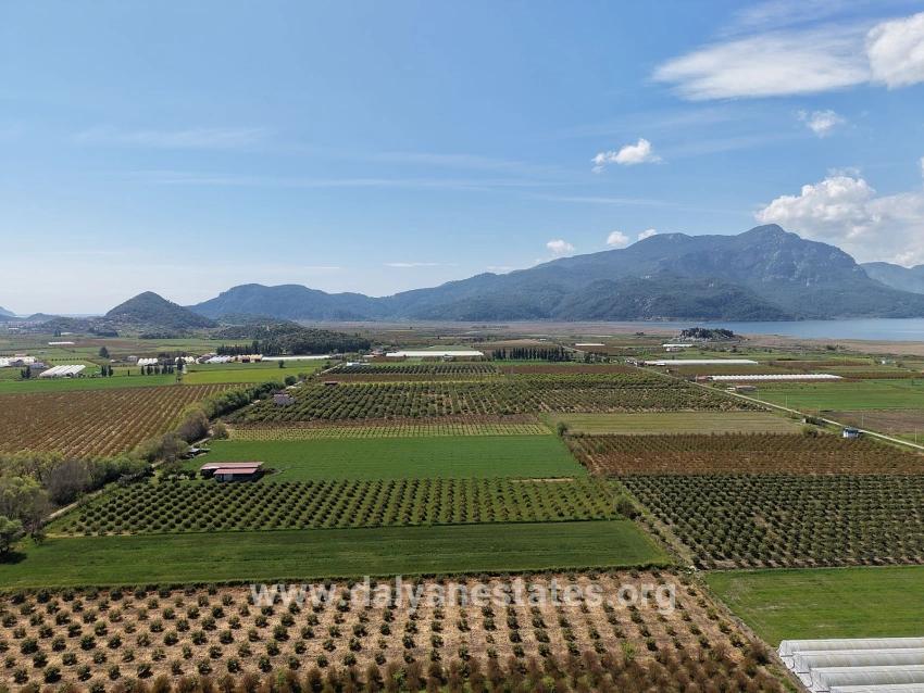 16,000 M² Pomegranate Orchard For Sale In Eskiköy