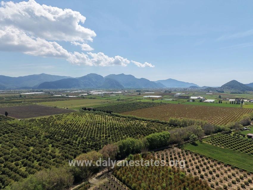 16,000 M² Pomegranate Orchard For Sale In Eskiköy