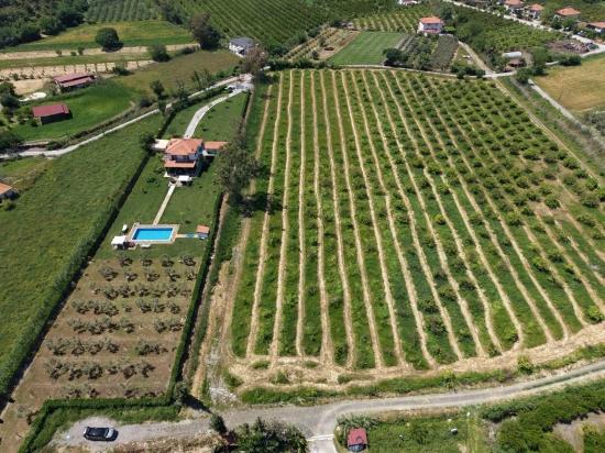 5100m2 Plot Of Land For Sale Near Dalyan Town Center.