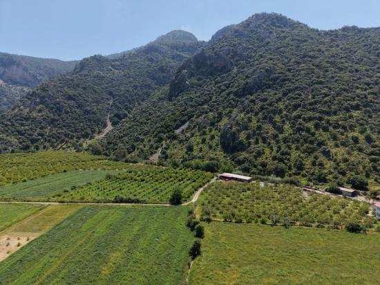 5100m2 Plot Of Land For Sale Near Dalyan Town Center.