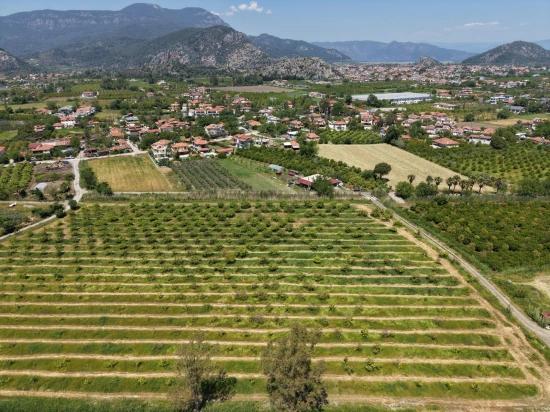 5100m2 Plot Of Land For Sale Near Dalyan Town Center.