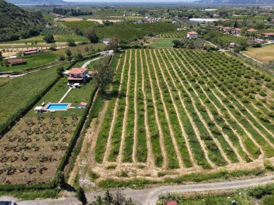 5100m2 Plot Of Land For Sale Near Dalyan Town Center.