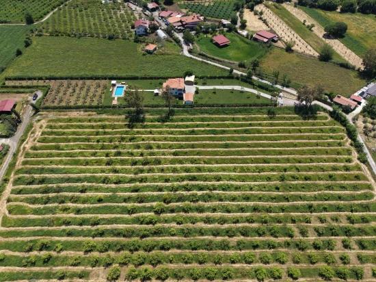 5100m2 Plot Of Land For Sale Near Dalyan Town Center.