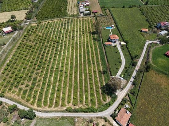 5100m2 Plot Of Land For Sale Near Dalyan Town Center.