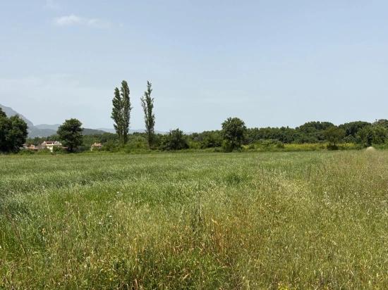 2100 M2 Plot Of Land For Sale In Okçular Marmaris.