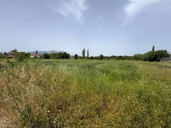 2390m2 Land For Sale In Okçular Marmaris