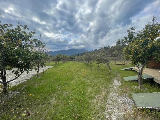 Boutique Hotel And Bungalows For Sale On An 11,000m2 Plot In Dalyan