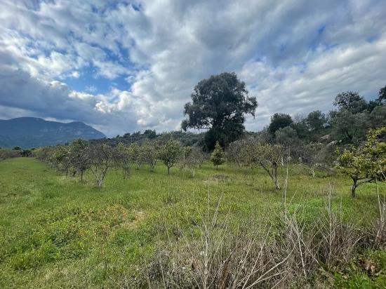 Boutique Hotel And Bungalows For Sale On An 11,000m2 Plot In Dalyan