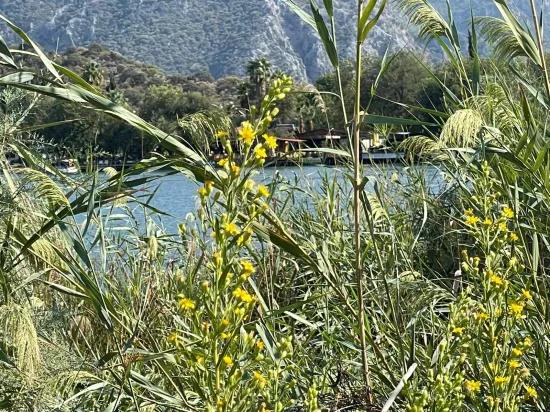 2765m2 Detached House For Sale In Çandır, Right Next To The Canal