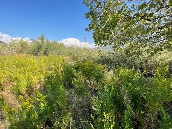 2765m2 Detached House For Sale In Çandır, Right Next To The Canal