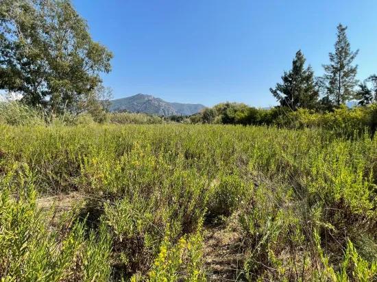2765m2 Detached House For Sale In Çandır, Right Next To The Canal