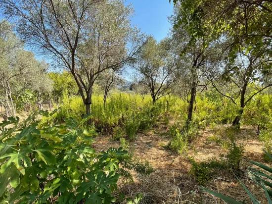 2765m2 Detached House For Sale In Çandır, Right Next To The Canal