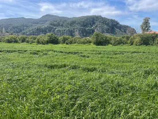 Archers' In Okçular'da 736m2 Olan 250m2 Construction Licensed For Sale Plot