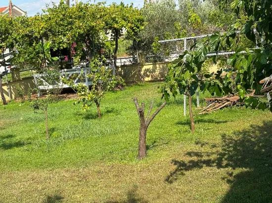 Dalyan Gülpınar 1000m2 Plot Of Land Inside 4+2 For Sale Villa